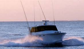 Montauk Fishing Charter Boat - CUJO