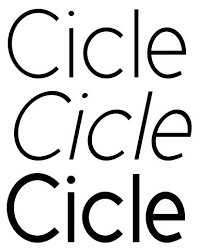 Steiner Sans Serif