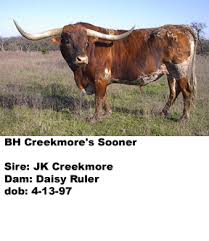 Sire: BH Creekmores Sooner {