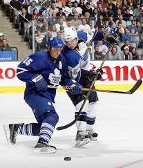 Toronto Maple Leafs Picture