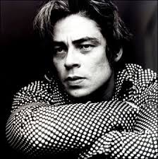 Image <b>Benicio Del Toro</b> address Picture
