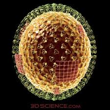 of flu symptoms which typically