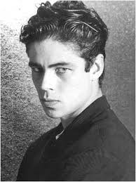 Benicio Del Toro Image benicio del toro 040910 9559.jpg Picture 1