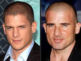 Wentworth Miller Picture 1
