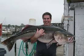 10/8 Montauk Fishing Report � 67lb