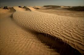 Sand dune in the Sahara Desert