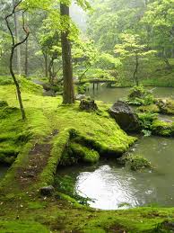 Japanese garden pond