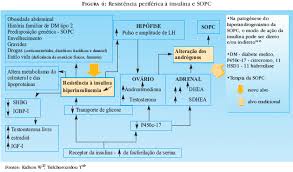 http://www.scielo.br/img/revistas/abd/v80n4/a11fig04.jpg