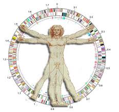 Human genetics