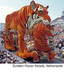 by the Tournament of Roses or