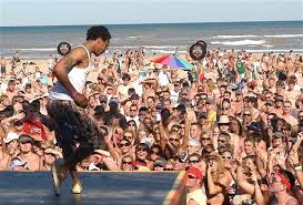 Spring Break Search Gone Wild