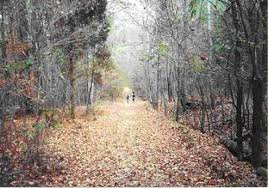 Image Grief's <b>Journey</b> Picture