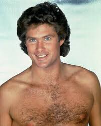 David Hasselhoff Picture 1