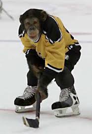 www.nhl.com .