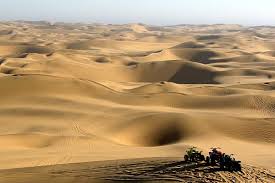 in the Namib Desert in southwest