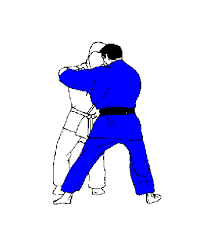 Judo Techniques (judo-mirambeau.fr)