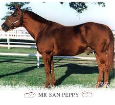 Photo of Quarter Horse Mr San