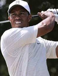 Image <b>Tiger Woods</b> Pictures Picture