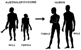 male female pairs