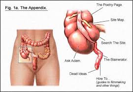 Charlie Productions : Appendix