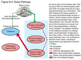another way that Huntington�s