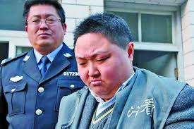 W020080318294065009253.jpg (www.yixizhidi.cn)