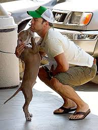 Jeremy Piven Image <b>jeremy< b> <b>piven< b>.jpg Picture 2