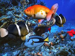 Image EIPC | Free 3D <b>Aqua</b> Picture