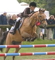 EQUESTRIAN SHOW JUMPING SPORT