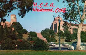 The campus of UCLA