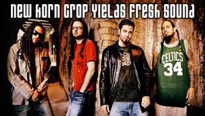 Image New <b>Korn</b> Crop Yields Fresh Sound Picture