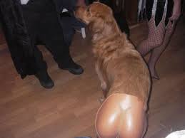 Dog Butt Some costumes are SO wrong