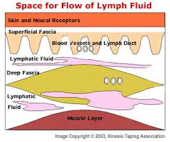 Kinesio Tape and Lymphatic Fluid