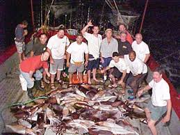 Photo of Humboldt squid caught in