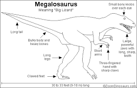 Megalosaurus lived during the 