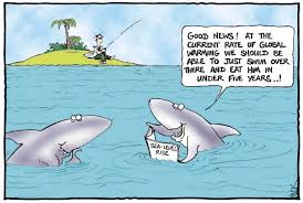 shark-global-warming.jpg