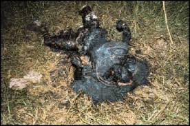 The ANC Government cant even keep