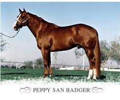 weaver quarter horses
