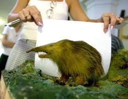 Once believed extinct
