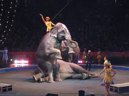 Barnum x26amp Bailey Circus