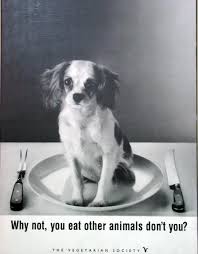 Vegetarian Food