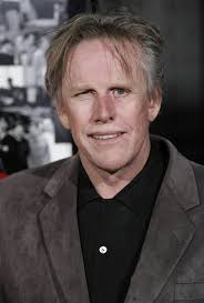 Gary Busey has apologized for 