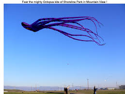  octopus kite is really massive?