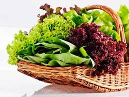 Introduction to the HCG Diet