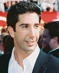 Image <b>schwimmer</b> <b>david</b> photo xl Picture