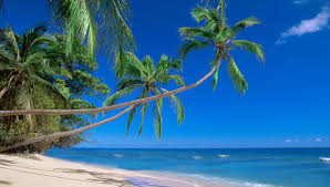 beaches-and-islands_beaches-and-islands_top_839_1.jpg 0