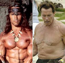 Image <b>Arnold Schwarzenegger</b> <b>...</b> Picture