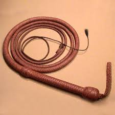1 Bull Whip