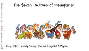 menopause_funny_names_seven_ ...
