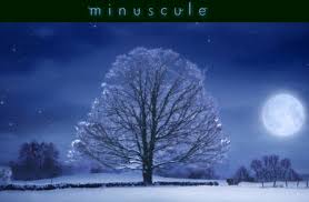 minuscule-tv-website- ... (www.optimiced.com)